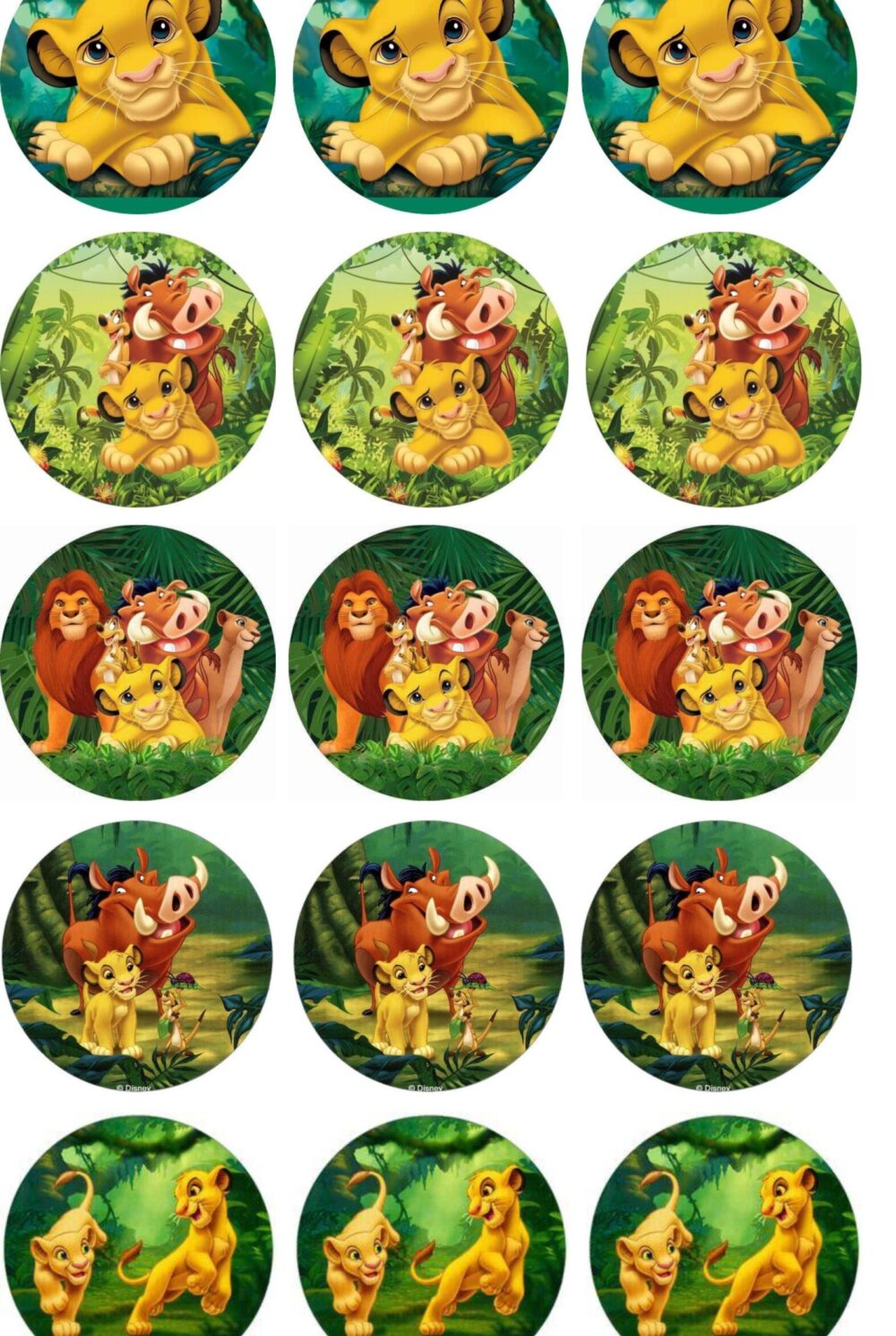 Roi lion disques cupcakes