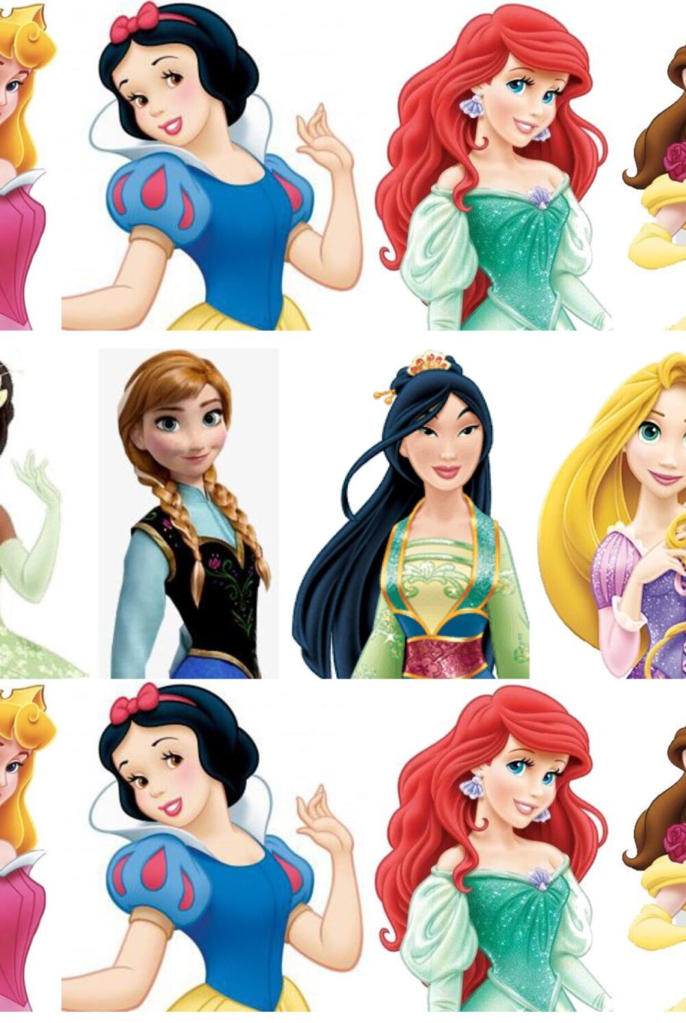 bustes princesse