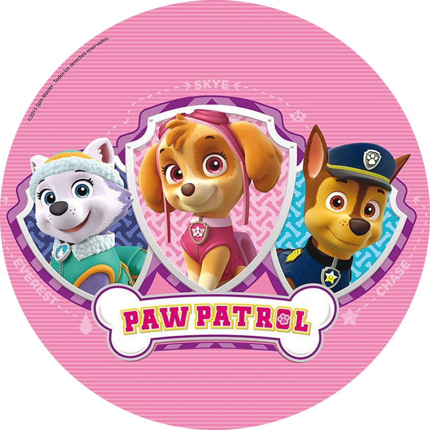 pat patrouille fond rose 20 cm