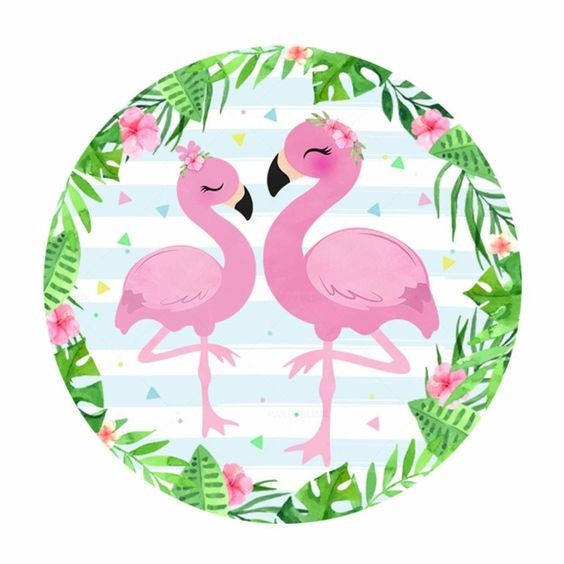 flamingo couple
