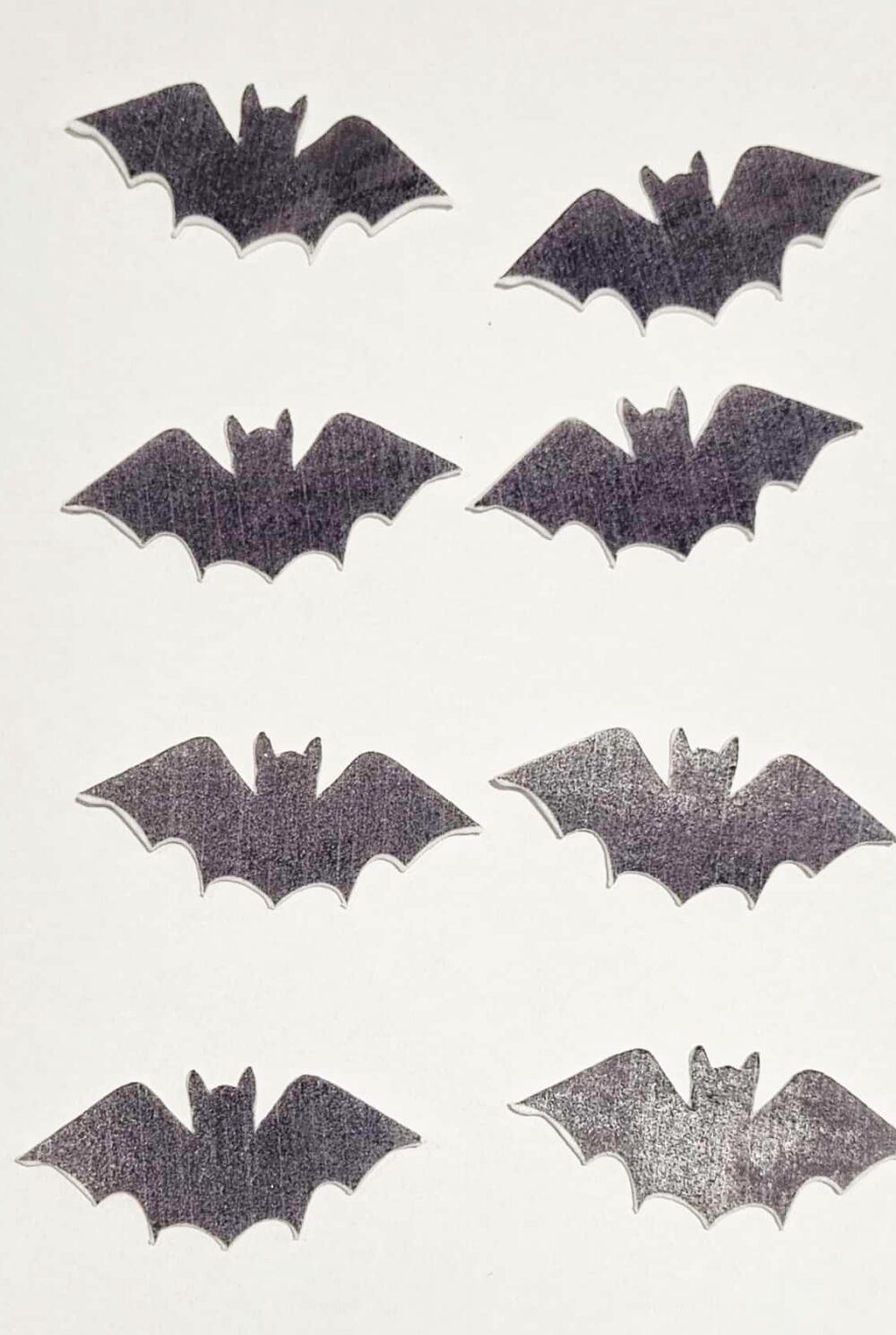 chauve souris Halloween