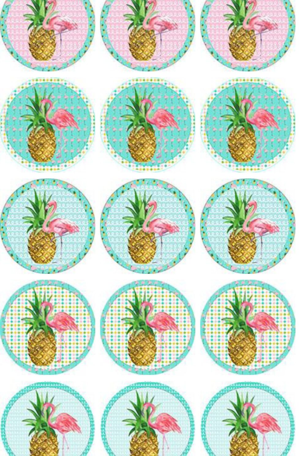 flamingo disque cupcake