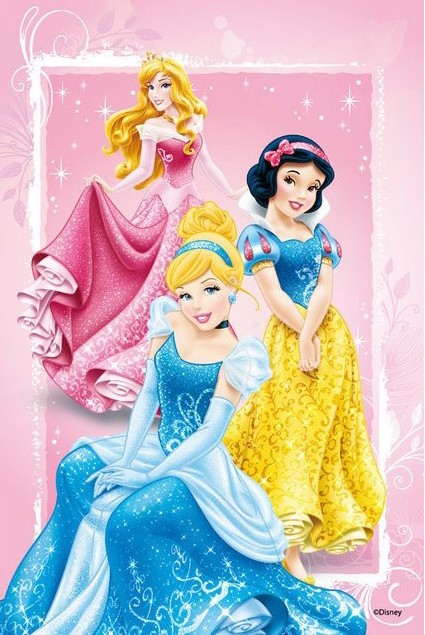Princesses cadre rose A4