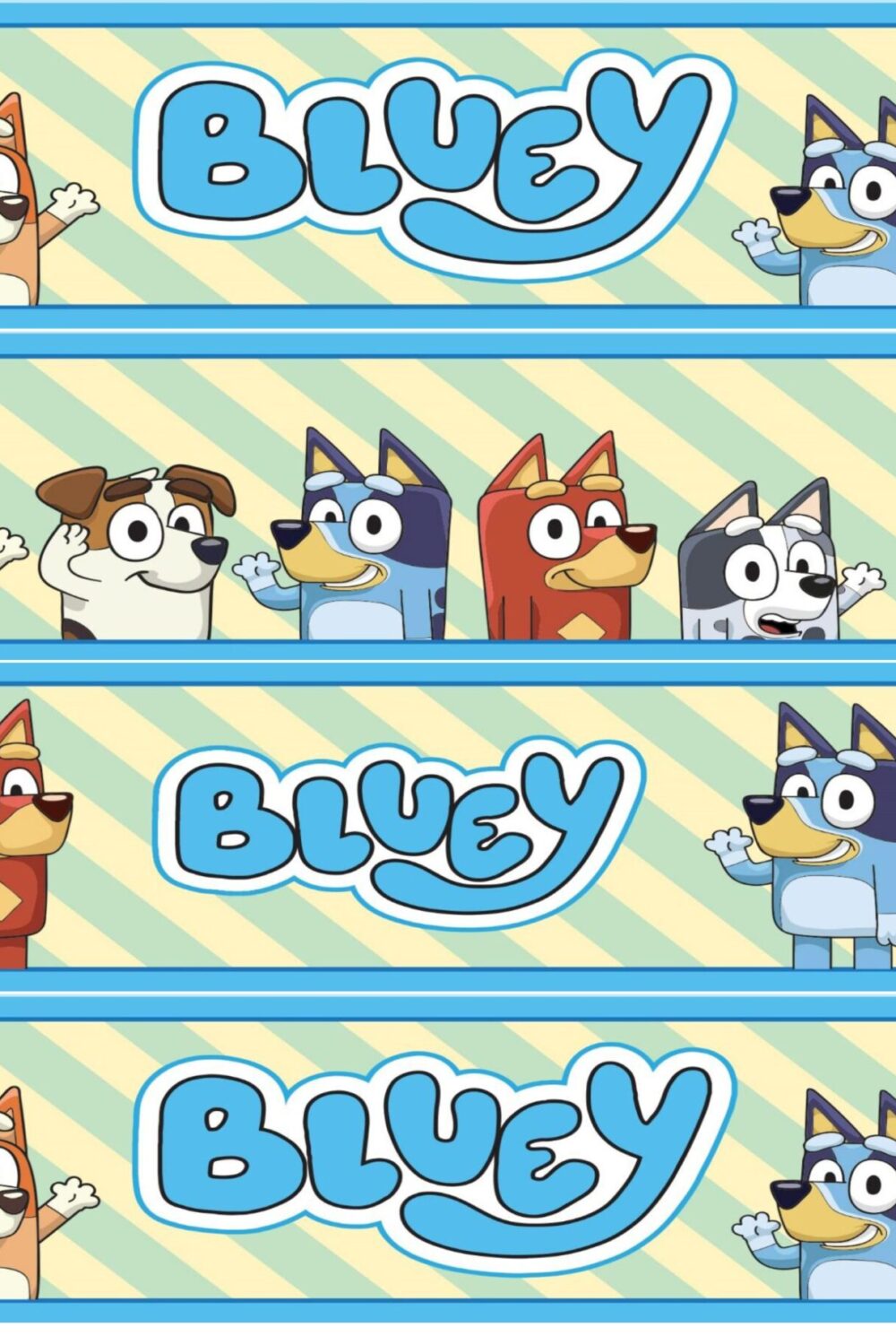 contour de gateau bluey