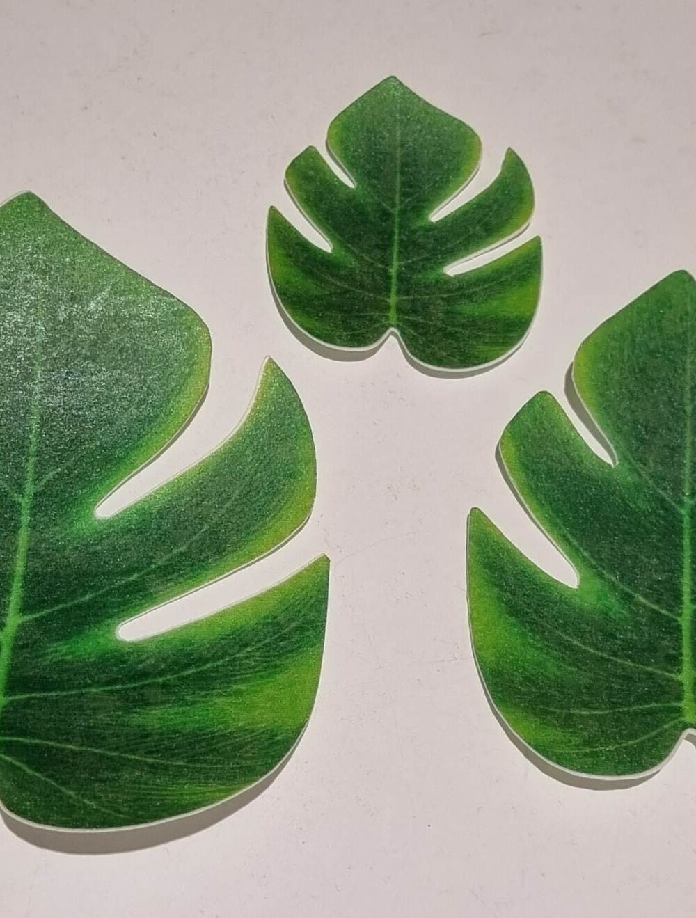 feuilles tropicales comestibles