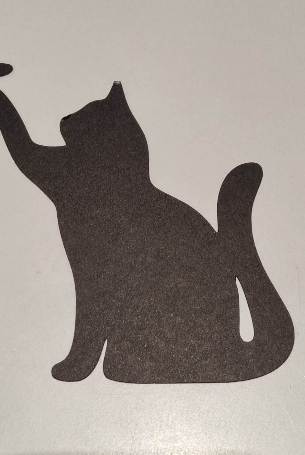 cat and butterfly silhouette