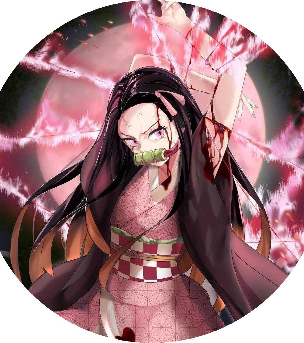 demon slayer rond 20 cm