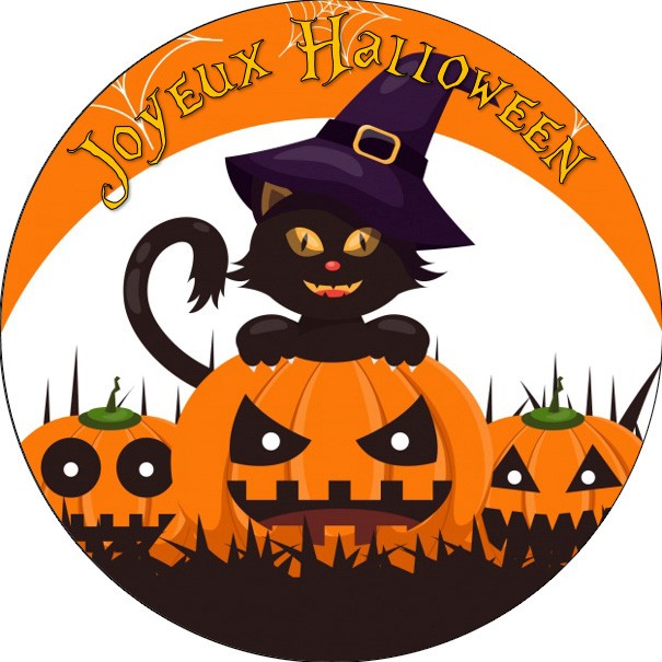 Joyeux Halloween chat 20 cm