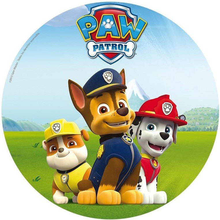 pat patrouille chase, ruben et marcus