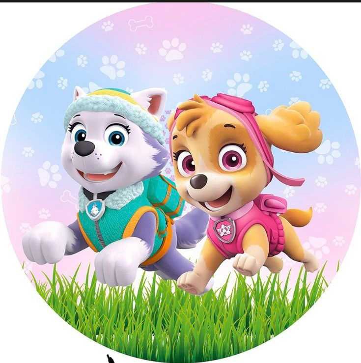 Paw Patrol Stella en Everest