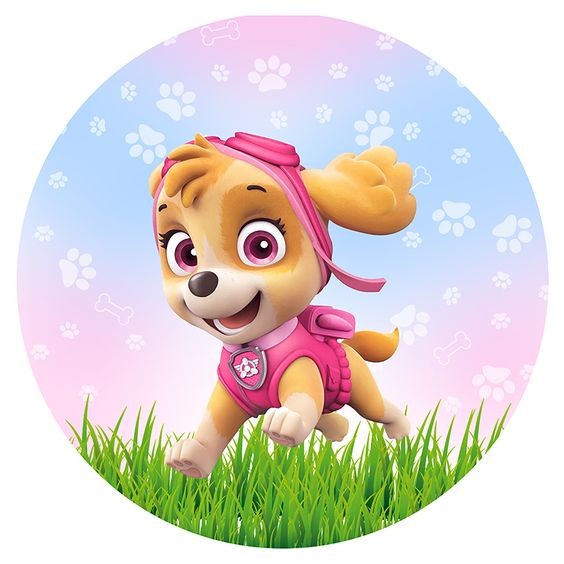Paw Patrol Stella in het park