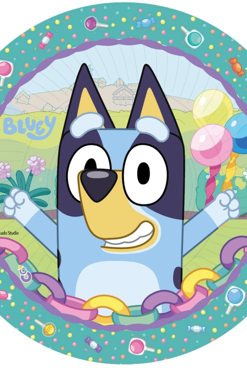 Bluey fun