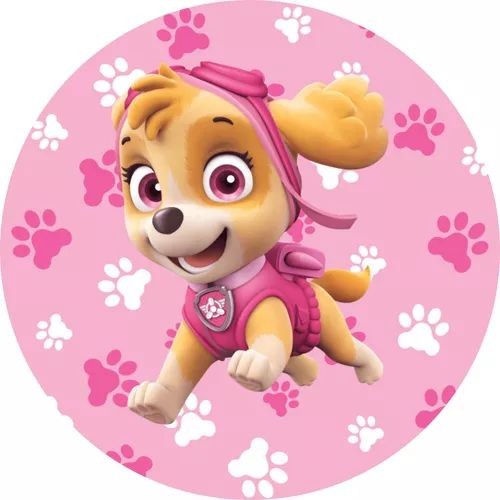 Paw Patrol Stella Roze Poten
