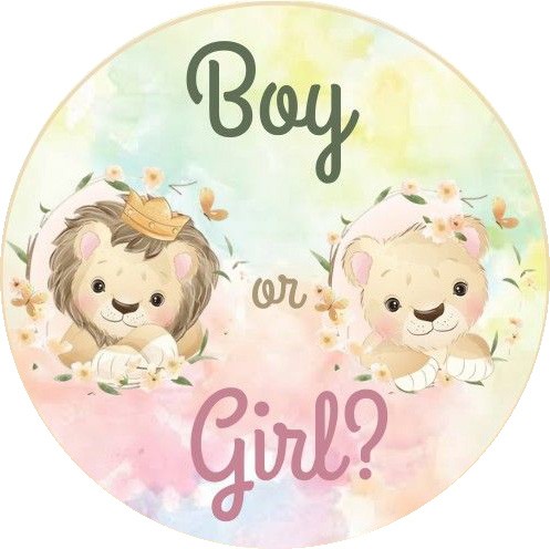 boy or girl bébé lion