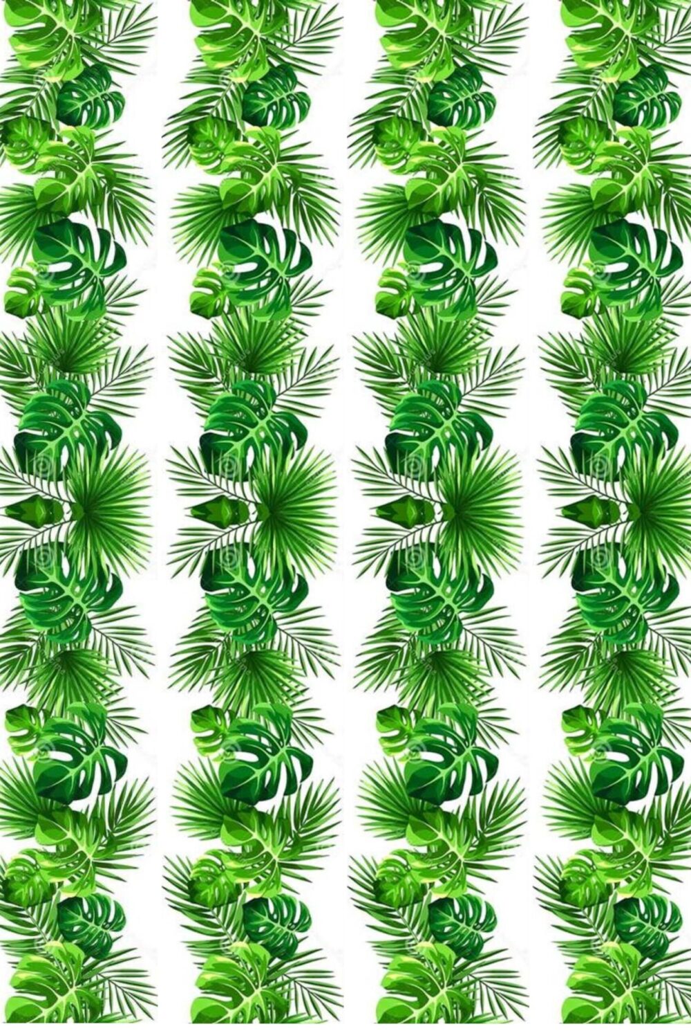 contour feuilles tropicales