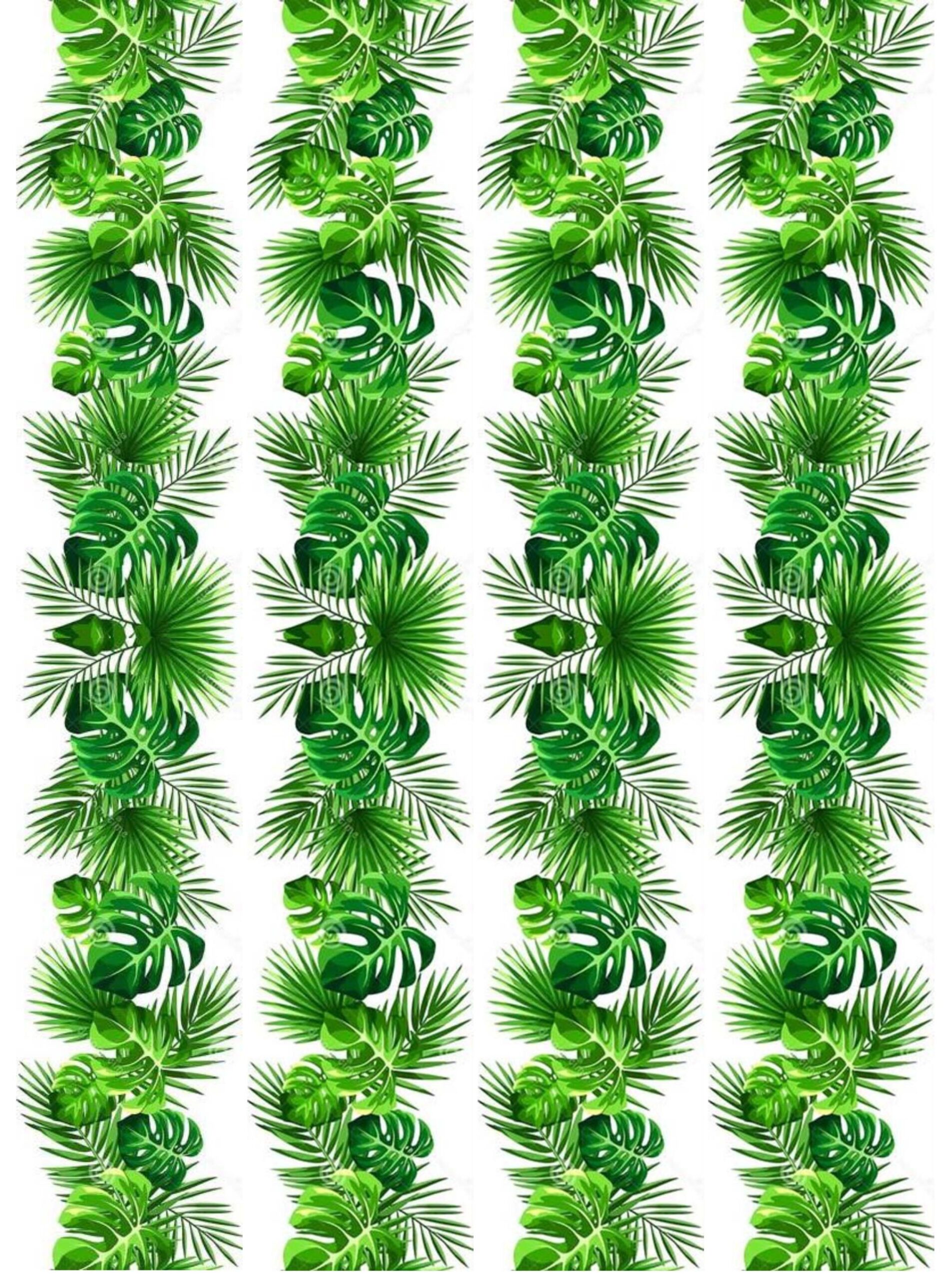 contour feuilles tropicales