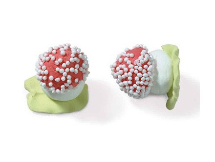 champignon en sucre