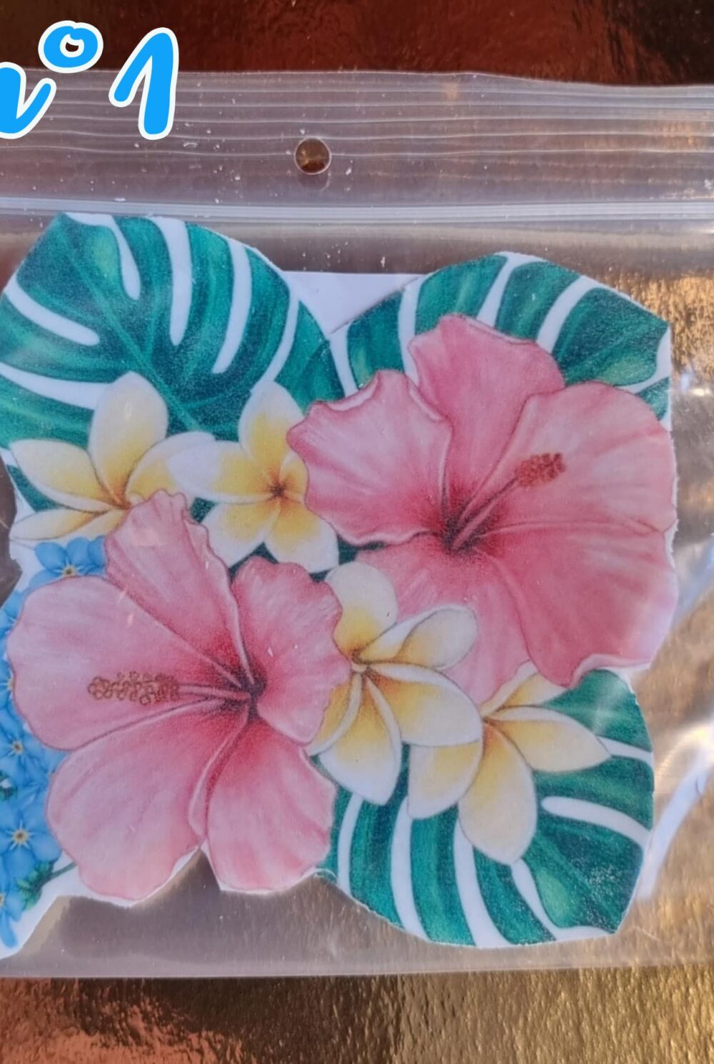 fleurs tropicale