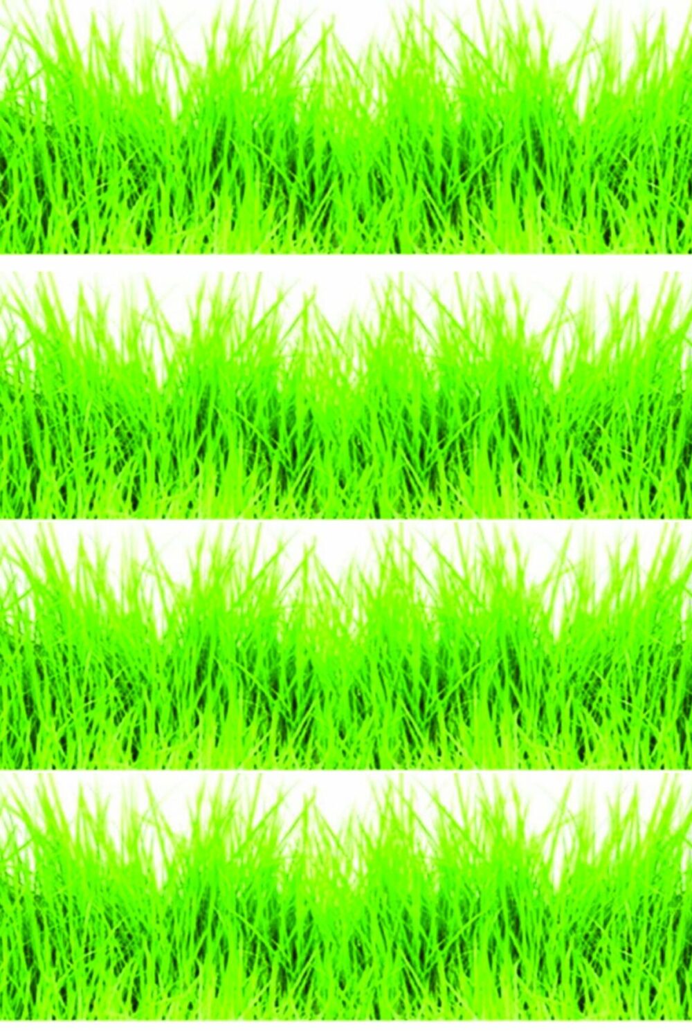 contour herbe