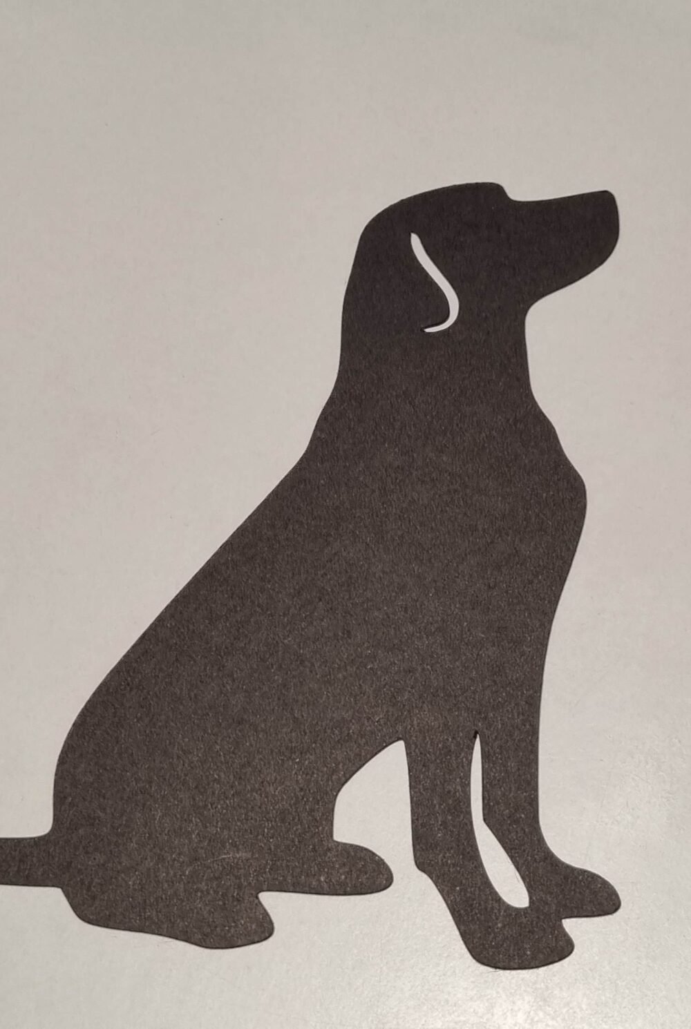 chien assis