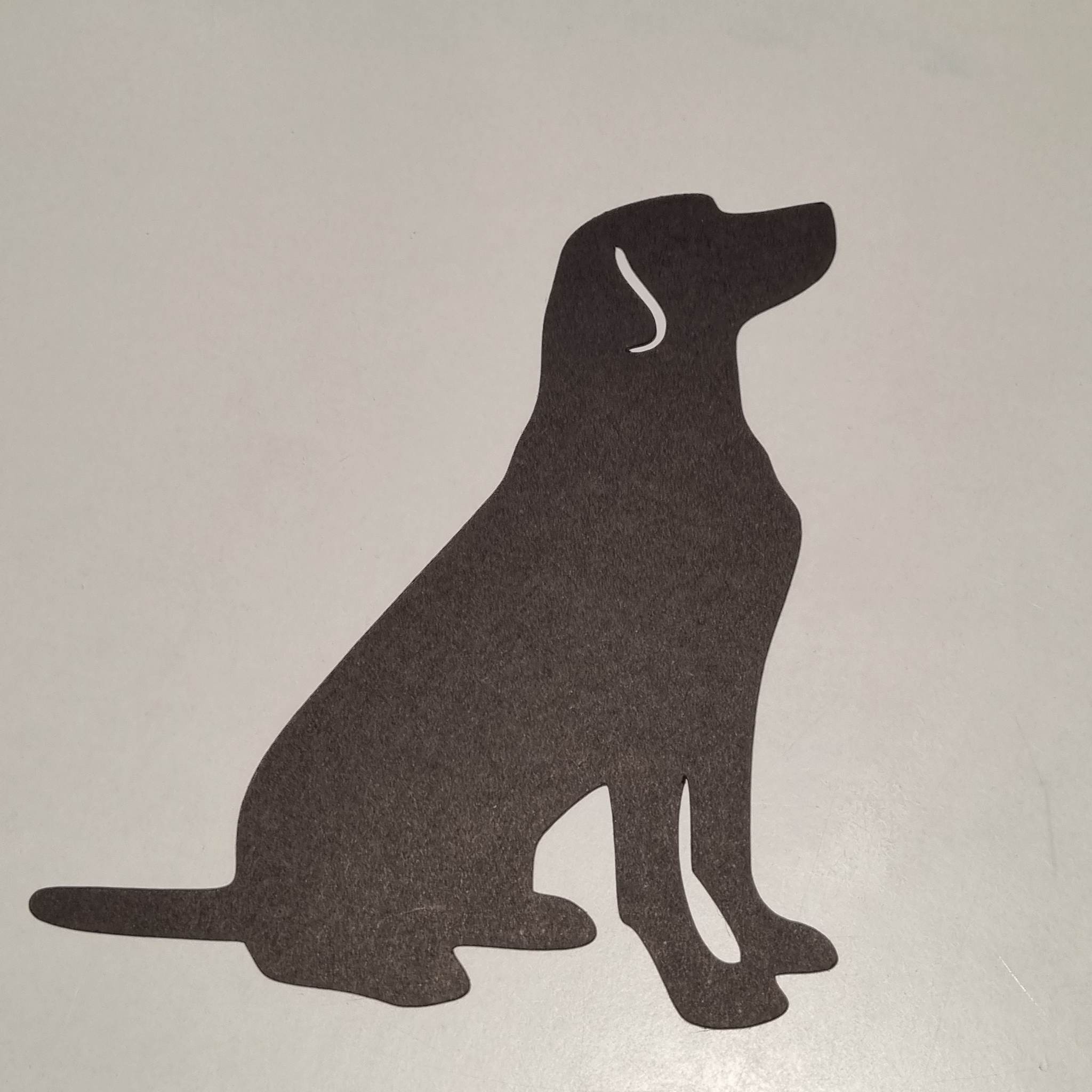 chien assis