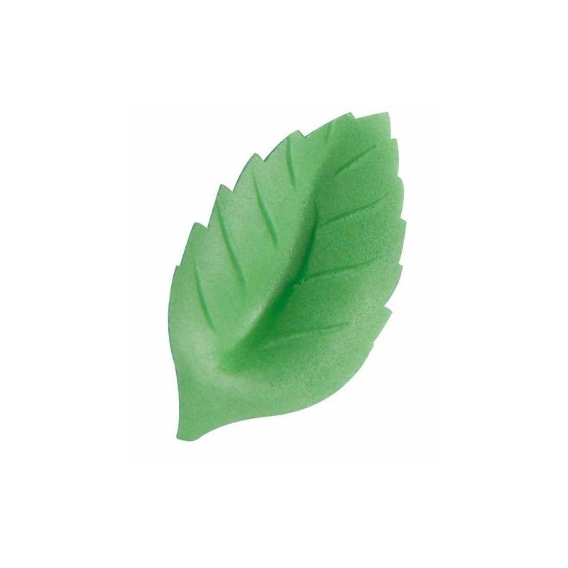 feuilles 10 pièces