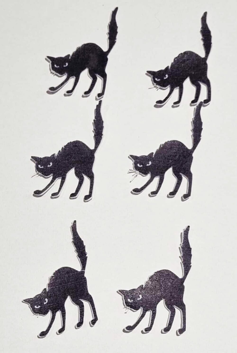 chats hérissés Halloween
