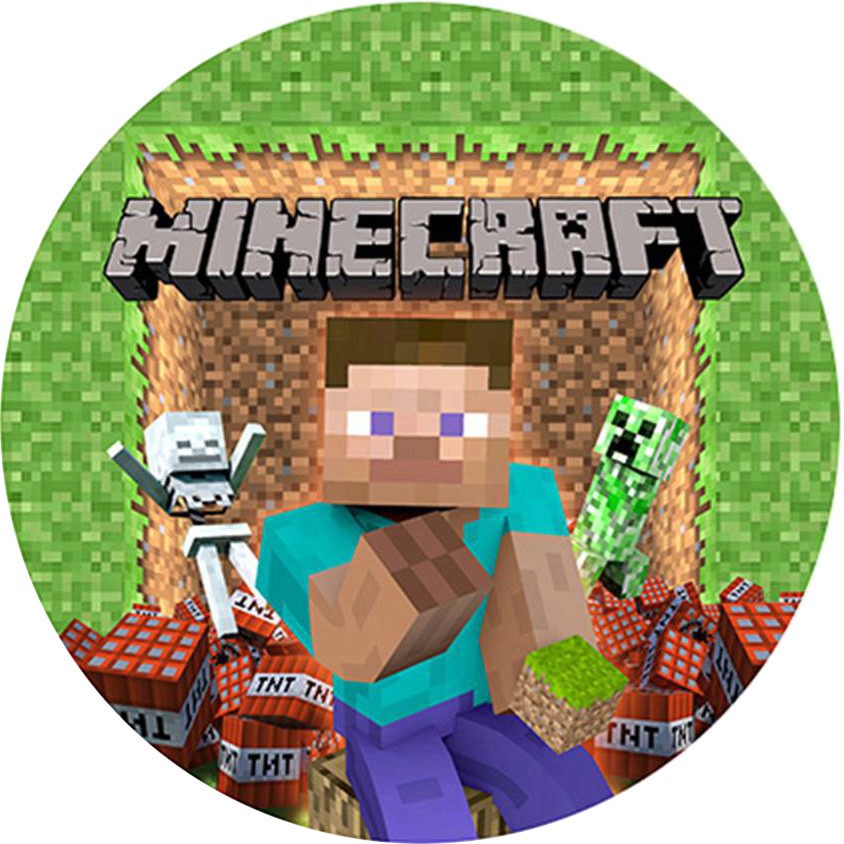 Minecraft personnage 20 cm azyme
