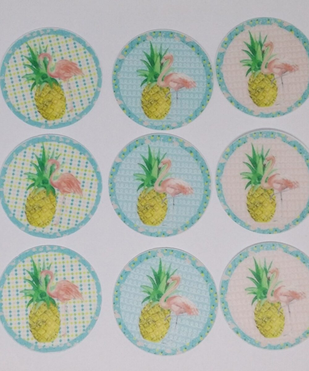 Flamingo disques cupcake