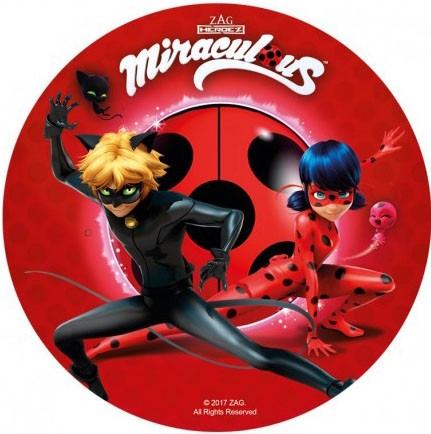 Miraculous Ladybug et chat noir 20 cm