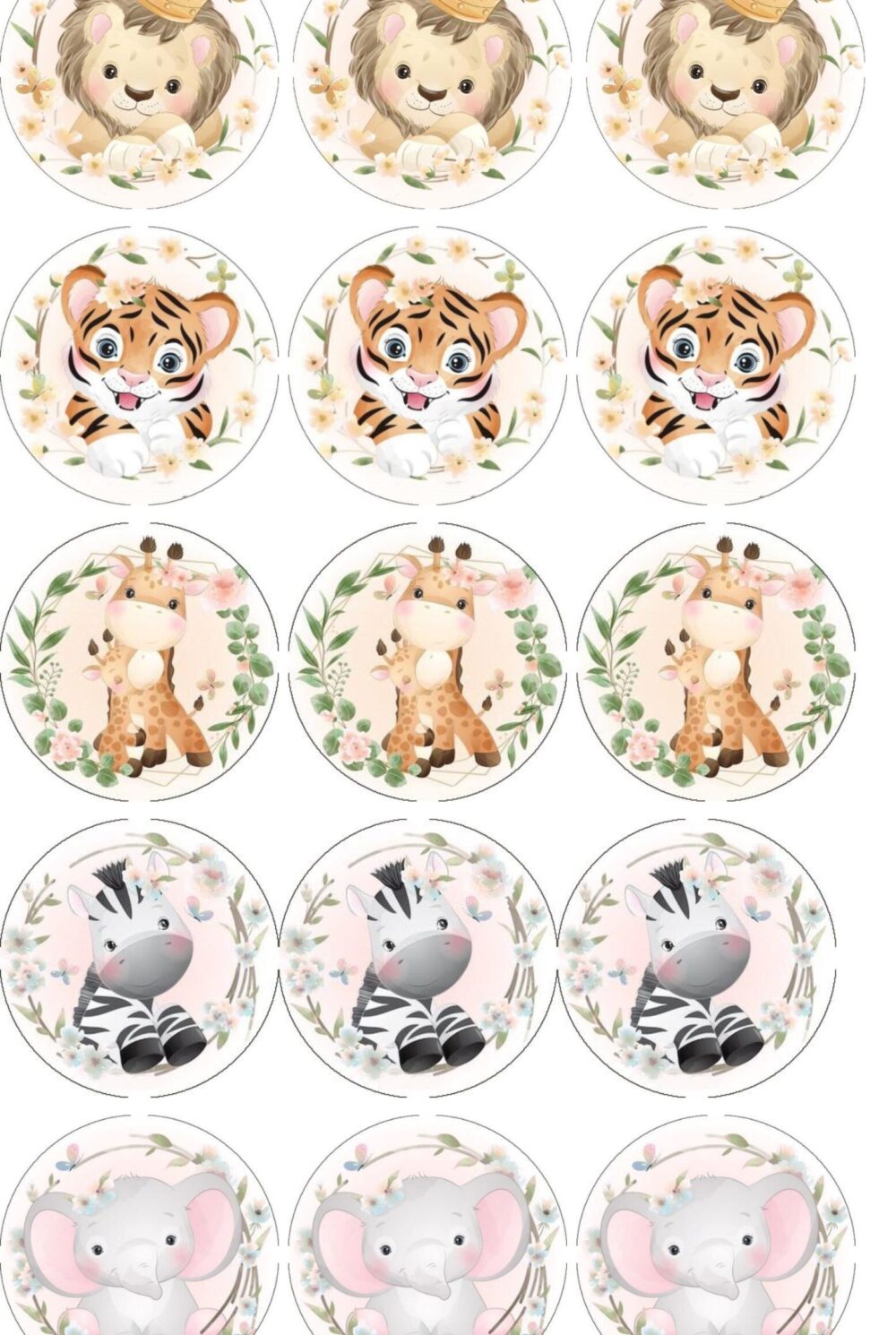 animaux fleurs disques cupcake