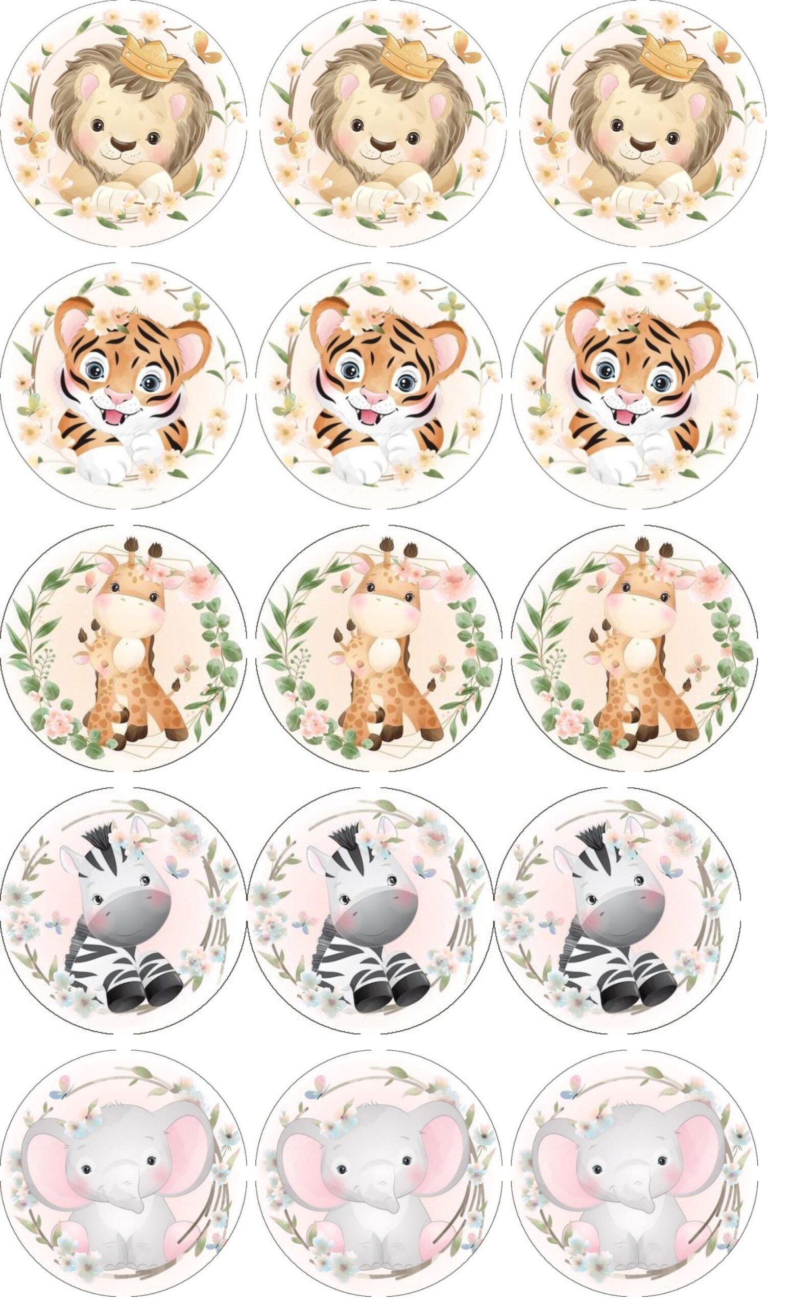 animaux fleurs disques cupcake