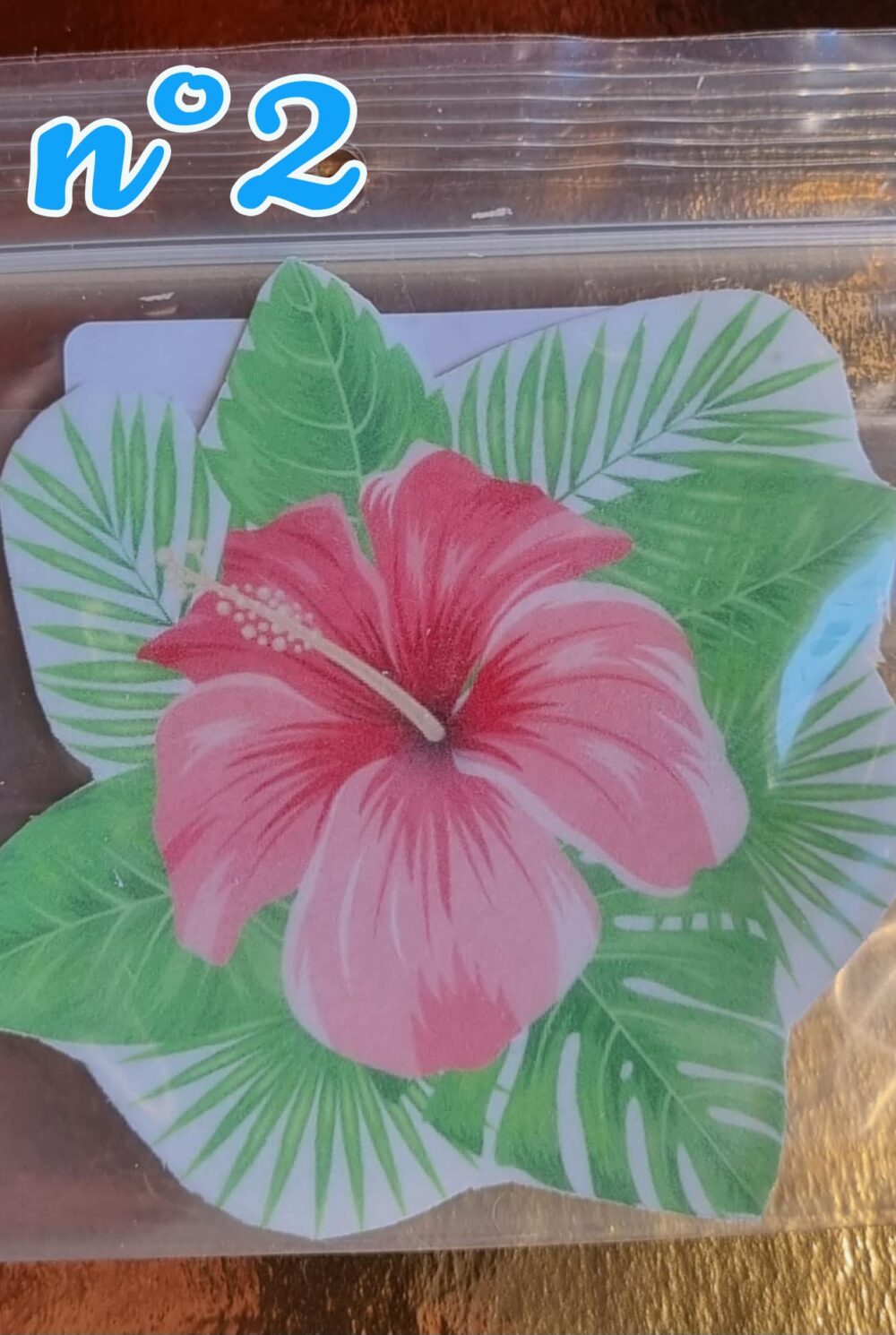 fleurs tropicales