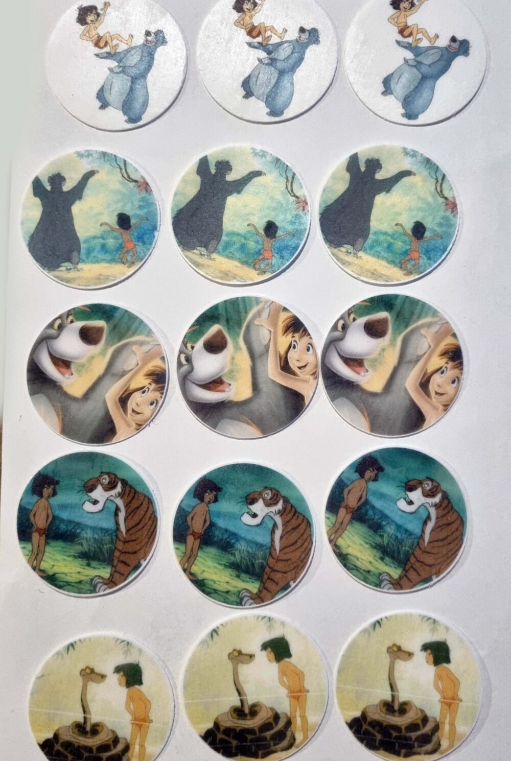livre de la jungle disques cupcake
